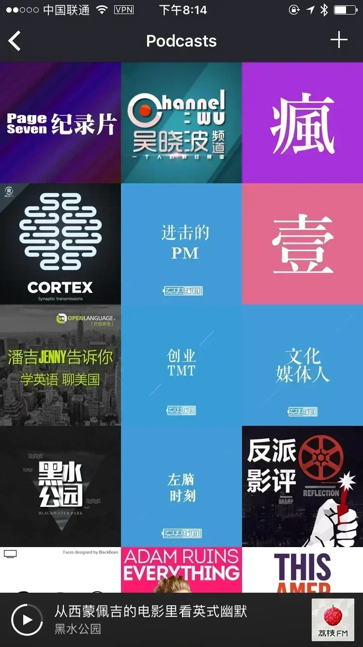 Pocket Casts 界面