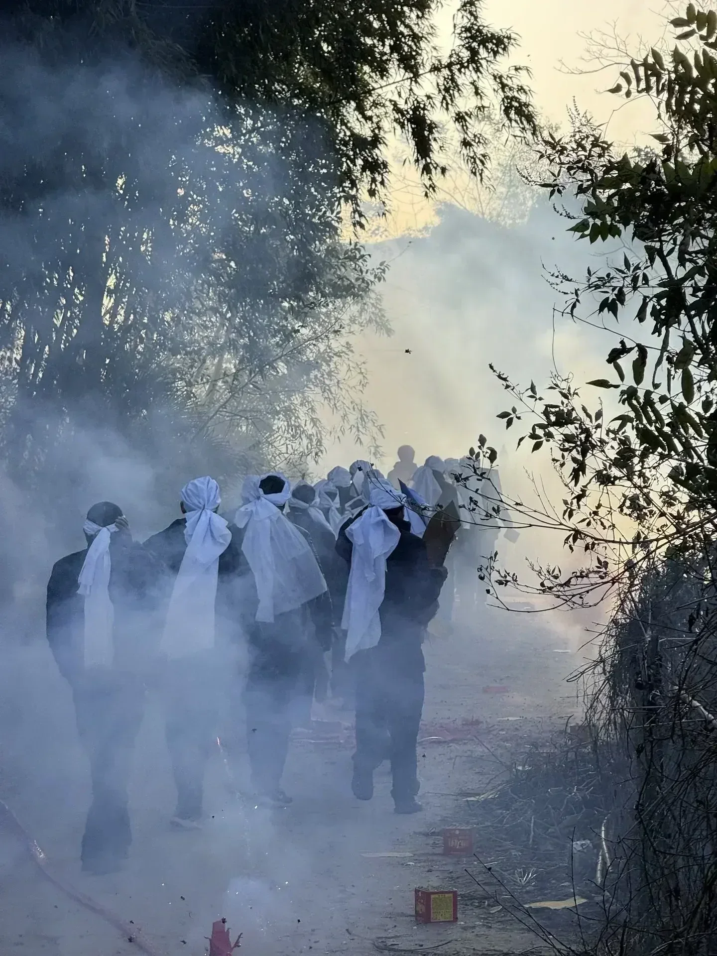 夜晚的生命主题公园