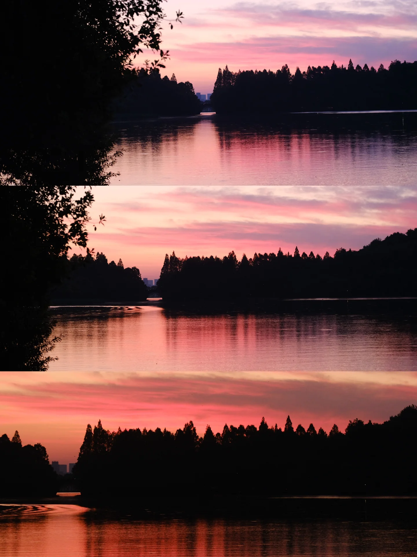 西湖边露营封面图