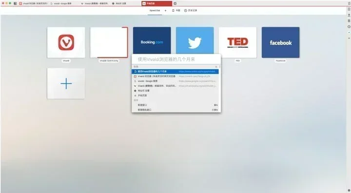 Vivaldi 浏览器的定制界面