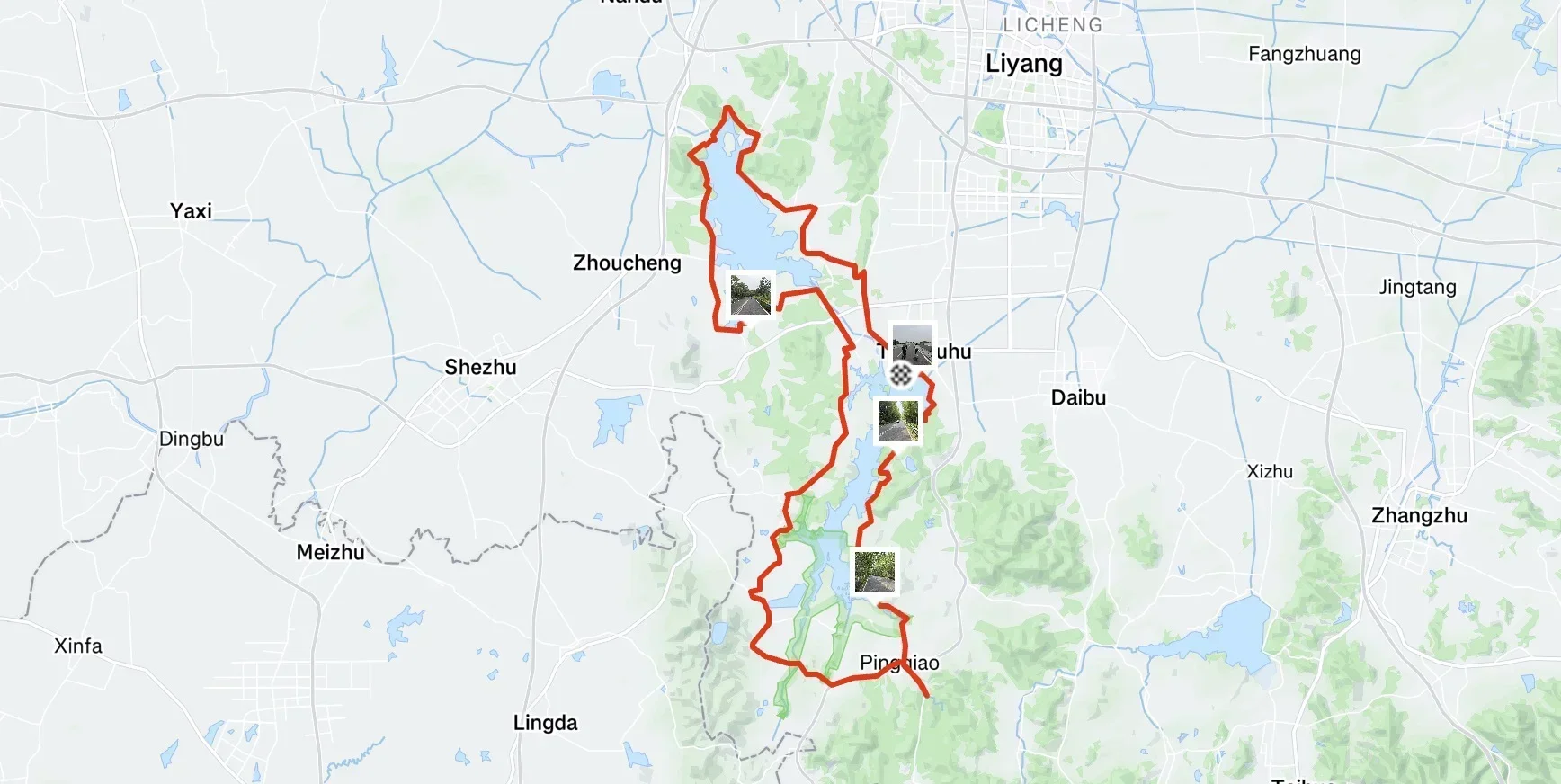 天目湖边的野花丛